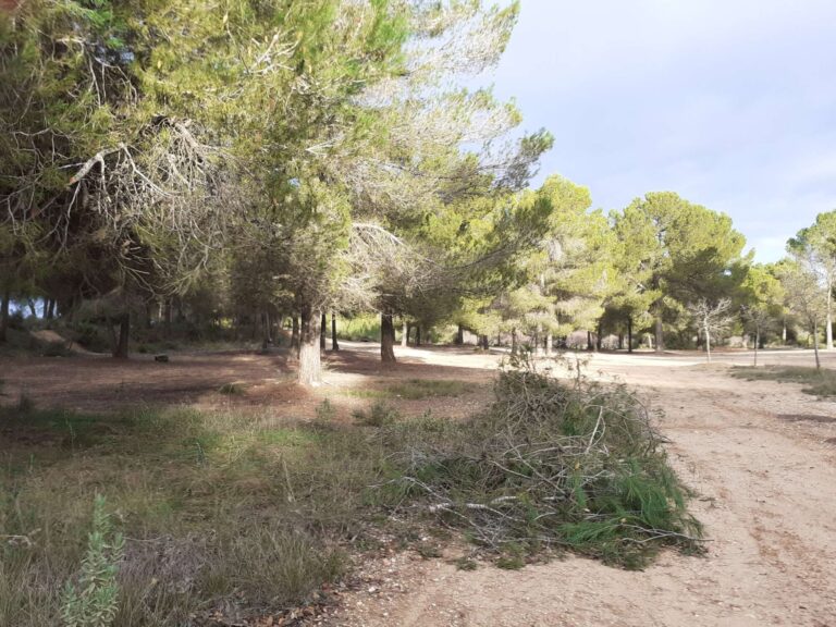 Ontinyent obté una subvenció de 34.000 euros per ampliar els treballs de prevenció d’incendis a l’àrea forestal de Fuset