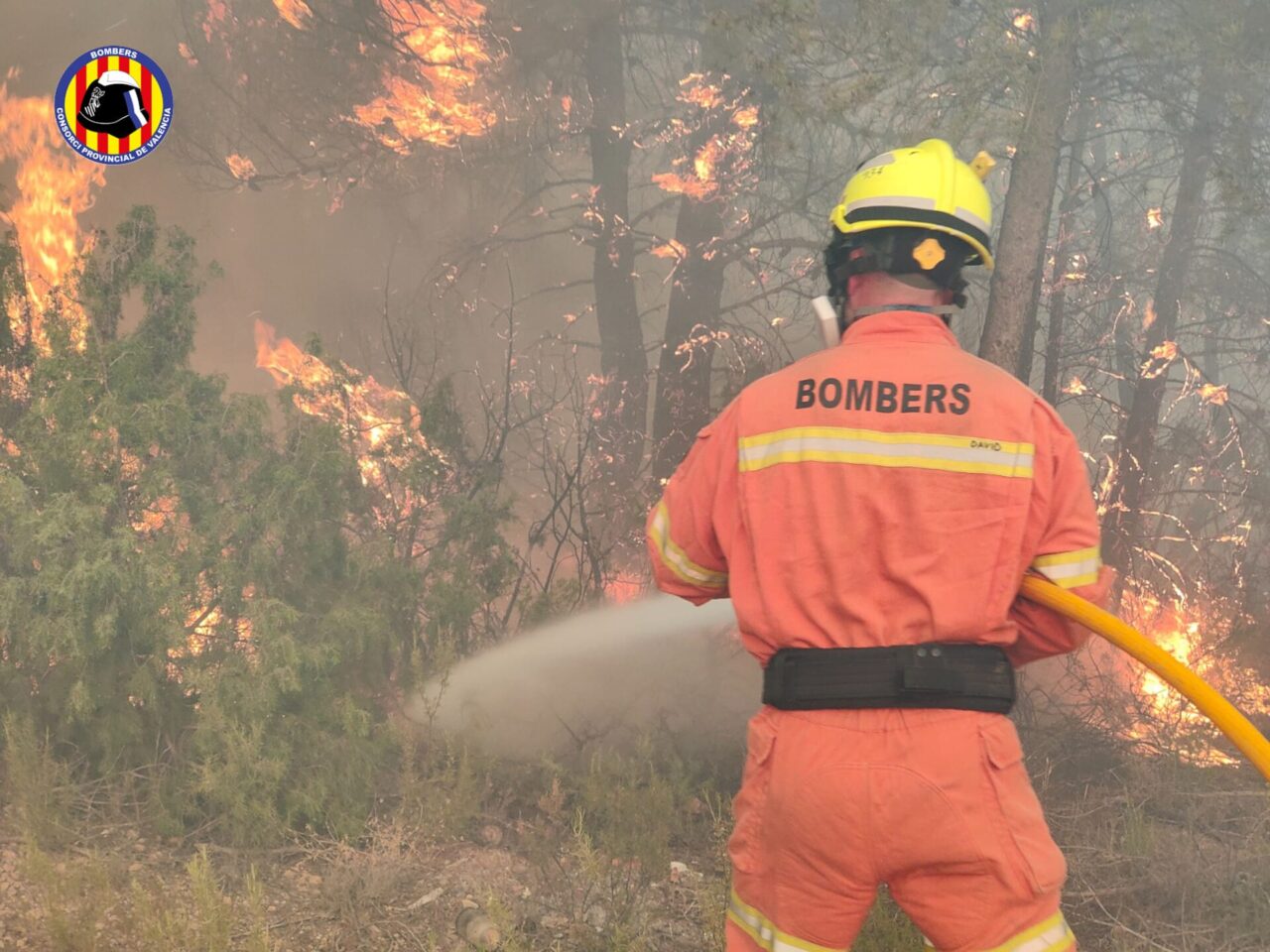 Negilències en terrenys agrícoles i forestals poden provocar incendis forestals a la província de València