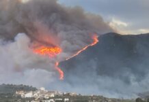 La Vall d’Albaida prepara un projecte tecnològic per millorar la prevenció d’incendis Emergència Montixelvo i Terrateig: L'Incendi Fora de Control Requereix Intervenció de la UME