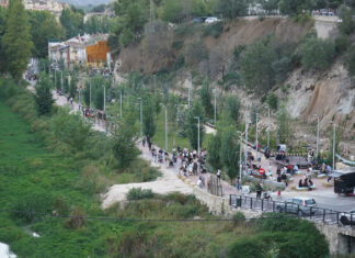 El Parc del Mestre Ferrero acollirà el 17 d’octubre una jornada familiar gratuïta a Ontinyent