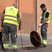 Medi Ambient d’Ontinyent executa el pla anual contra paneroles i altres plagues