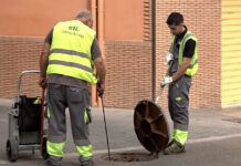 Medi Ambient d’Ontinyent executa el pla anual contra paneroles i altres plagues
