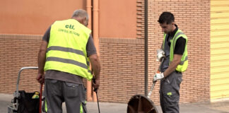 Medi Ambient d’Ontinyent executa el pla anual contra paneroles i altres plagues