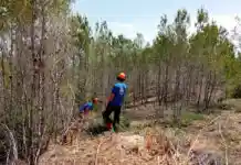 La Diputació concedeix més de 43.000 euros a Ontinyent per reforçar la prevenció d’incendis