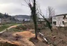 Millora de la zona fluvial de Bocairent entre la Canaleta i Mitja Calça