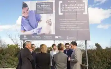 Sis estudis competeixen per dissenyar l’hospital veterinari del futur grau a Ontinyent