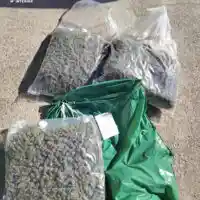 La Guàrdia Civil deté dos homes i intervé quasi 20 quilos de marihuana