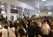 Els Dissabtes de Mercat tornen a Ontinyent amb el Mercat del Vi i l’Embotit i 500 tiquets disponibles