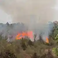 Albaida registra un incendi forestal amb risc per vivendes de camp