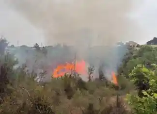 Albaida registra un incendi forestal amb risc per vivendes de camp
