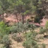 El Seprona reforça la vigilància antiincendis a la Vall d’Albaida durant el risc extrem