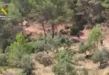 El Seprona reforça la vigilància antiincendis a la Vall d’Albaida durant el risc extrem