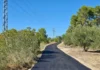 Agullent finalitza la millora del Camí del Catalí amb una inversió de 104.808 euros Foto 4
