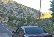 La Policia Local de Bocairent intervé un vehicle després d’un positiu de 0,71 mg/l 842718023_1431578329151166_5530057327926885372_n