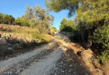 Quatretonda rep 551.660 euros per rehabilitar quatre camins rurals Carassol dels Corrals (2)