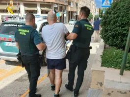 Detingut a Ontinyent després d’intentar fugir d’una plantació de 400 plantes de marihuana saltant quatre metres FOTO 1