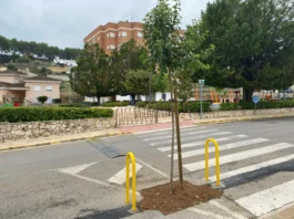 El Parral d’Agullent completa la seua renovació ambiental i climàtica Foto 1