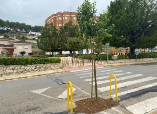 El Parral d’Agullent completa la seua renovació ambiental i climàtica Foto 1