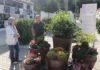 El Pont de Santa Maria i els fumerals d’Ontinyent s’il·luminen pel dol gestacional i perinatal Helena Gandia(2)