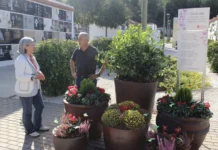 El Pont de Santa Maria i els fumerals d’Ontinyent s’il·luminen pel dol gestacional i perinatal Helena Gandia(2)
