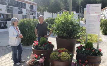 El Pont de Santa Maria i els fumerals d’Ontinyent s’il·luminen pel dol gestacional i perinatal Helena Gandia(2)