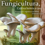 banner tvdo fungi