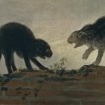 gatos