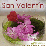 jacinta-san-valentin12